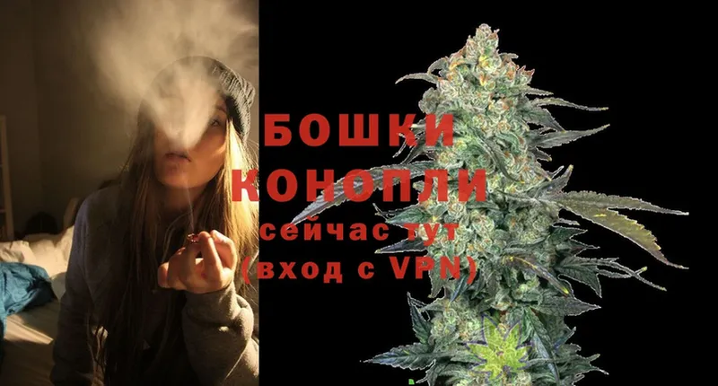 Марихуана THC 21%  купить  сайты  Нововоронеж 